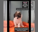 Image preview for Ad Listing. Nickname: Ella