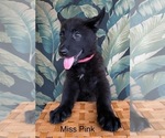 Small #22 German Shepherd Dog