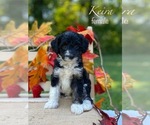 Image preview for Ad Listing. Nickname: Kiera