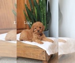Image preview for Ad Listing. Nickname: Lulu