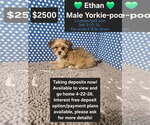 Image preview for Ad Listing. Nickname: Ethan