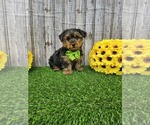 Image preview for Ad Listing. Nickname: Simon