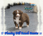 Image preview for Ad Listing. Nickname: Tevin