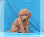 Image preview for Ad Listing. Nickname: Billy