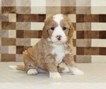 Image preview for Ad Listing. Nickname: Frank