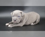 Image preview for Ad Listing. Nickname: Haniel