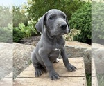 Image preview for Ad Listing. Nickname: Ellie