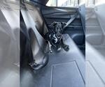 Small Labrador Retriever