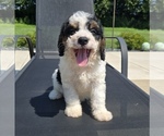 Image preview for Ad Listing. Nickname: Bentley