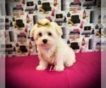 Image preview for Ad Listing. Nickname: Betty