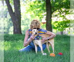 Small #5 Labrador Retriever Mix
