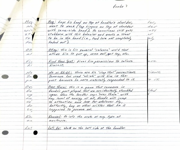 Medium Photo #9 American Bulldog-German Shorthaired Pointer Mix Puppy For Sale in Visalia, CA, USA