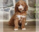 Image preview for Ad Listing. Nickname: Janette