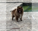 Image preview for Ad Listing. Nickname: Priscilla