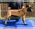 Image preview for Ad Listing. Nickname: Green Collar