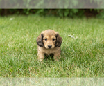 Image preview for Ad Listing. Nickname: Silas