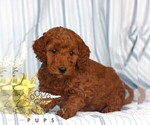 Image preview for Ad Listing. Nickname: Maria