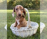 Image preview for Ad Listing. Nickname: Finn