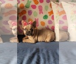 Image preview for Ad Listing. Nickname: Bianca