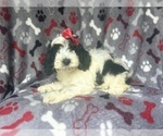 Image preview for Ad Listing. Nickname: Georgia