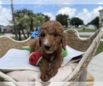 Image preview for Ad Listing. Nickname: Sparkles