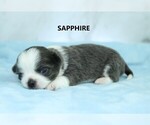 Image preview for Ad Listing. Nickname: Sapphire