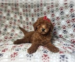 Image preview for Ad Listing. Nickname: Rain
