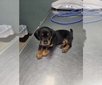 Image preview for Ad Listing. Nickname: Missy