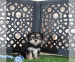 Small #3 Yo-Chon