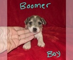 Small #15 Chizer