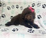 Image preview for Ad Listing. Nickname: Maggie