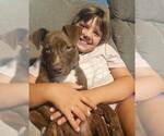 Small #2 Mutt