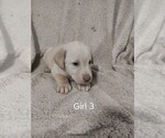 Image preview for Ad Listing. Nickname: Girl 3