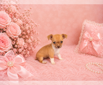 Image preview for Ad Listing. Nickname: Financing