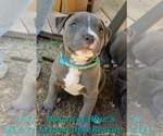 Image preview for Ad Listing. Nickname: Teal Female