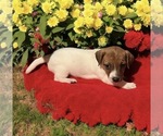 Image preview for Ad Listing. Nickname: Rita