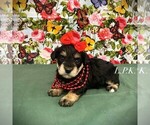 Image preview for Ad Listing. Nickname: Bella