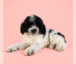 Image preview for Ad Listing. Nickname: Carly