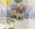 Image preview for Ad Listing. Nickname: Minnie