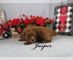 Image preview for Ad Listing. Nickname: Jasper