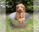 Image preview for Ad Listing. Nickname: Arielle