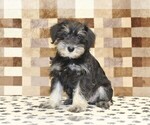 Image preview for Ad Listing. Nickname: Emily
