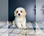 Image preview for Ad Listing. Nickname: Macy