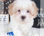 Image preview for Ad Listing. Nickname: Chase