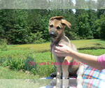 Image preview for Ad Listing. Nickname: Sparkling Water