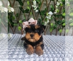 Image preview for Ad Listing. Nickname: Pippy
