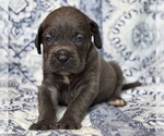 Image preview for Ad Listing. Nickname: Skylar