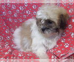 Image preview for Ad Listing. Nickname: SUZAN