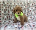 Image preview for Ad Listing. Nickname: Ridge