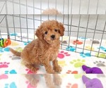 Image preview for Ad Listing. Nickname: Layla